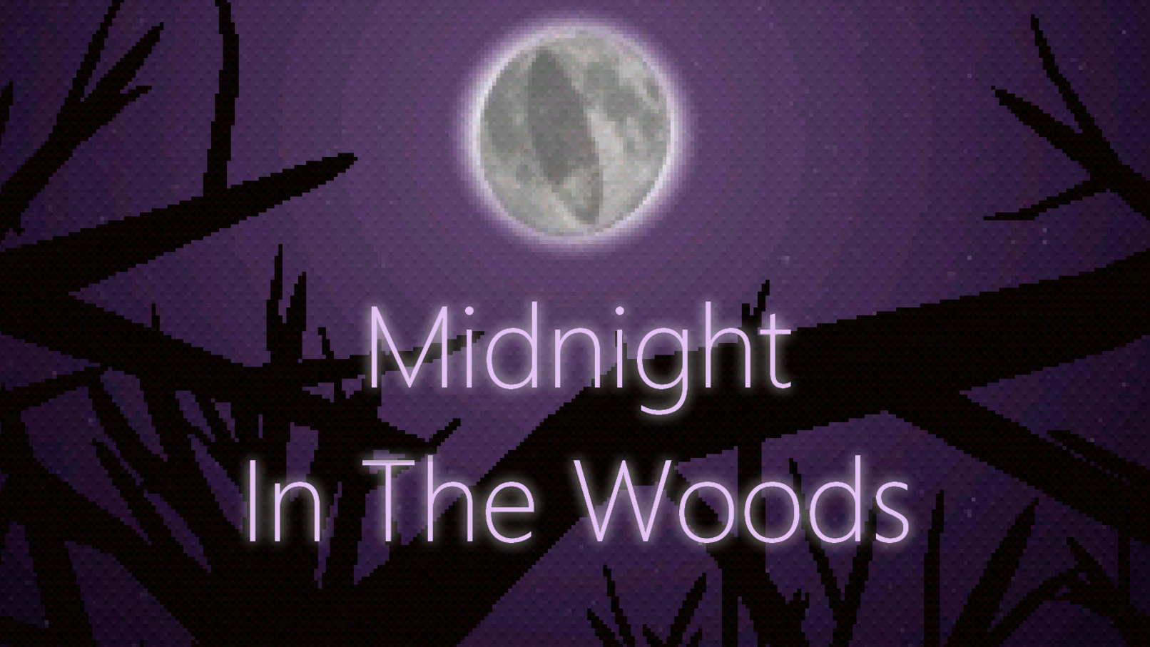 Midnight In The Woods